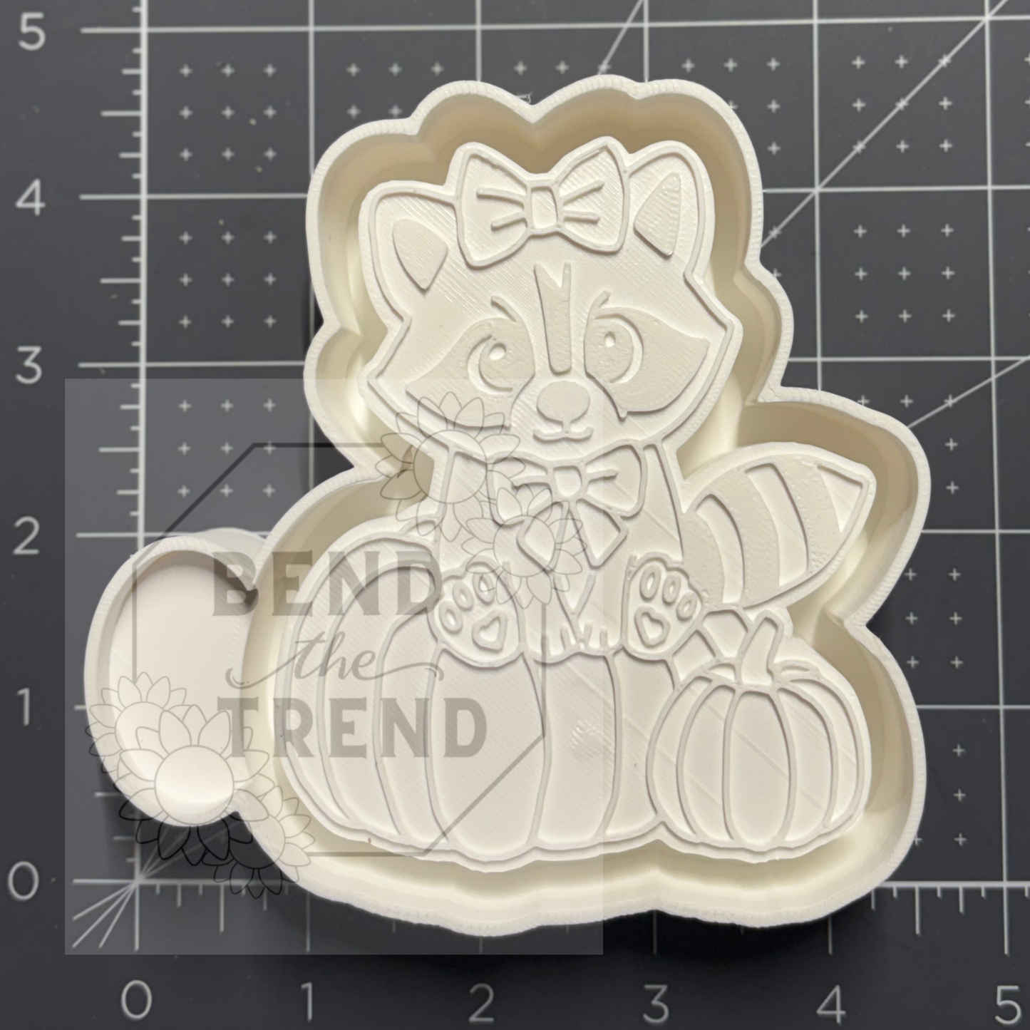 Cute Raccoon & Pumpkin Mold