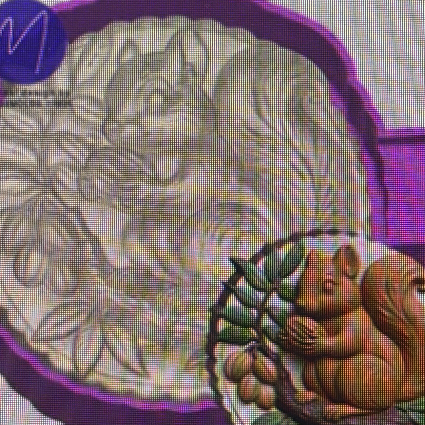 3D Squirrel & Pecan Mold
