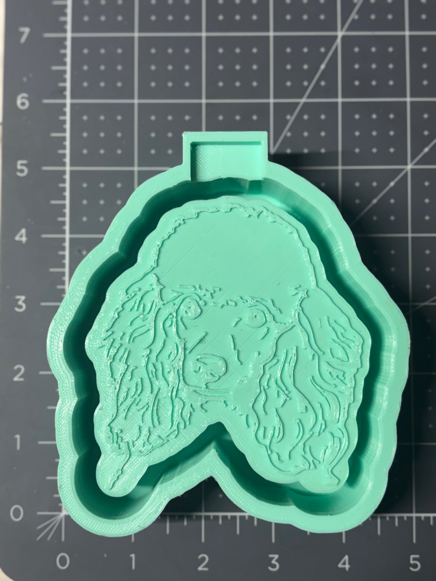 Poodle Mold