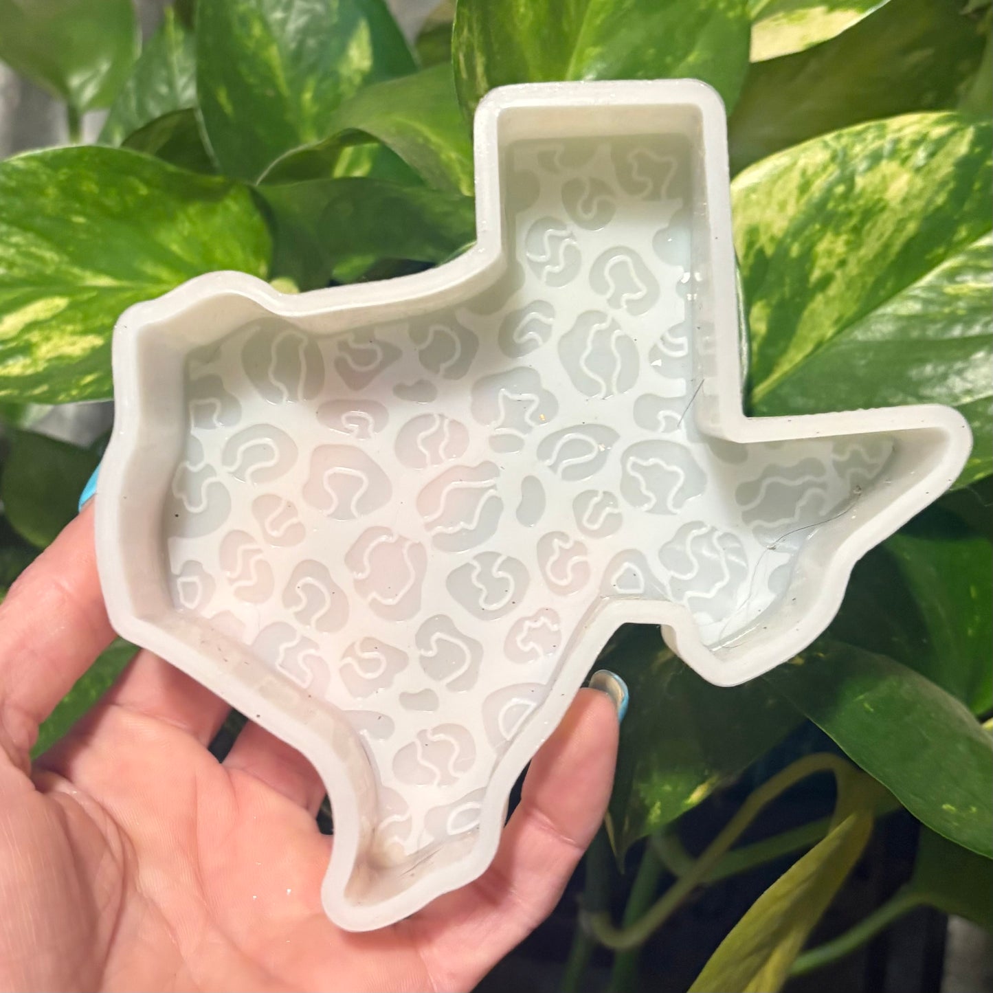 Temu Destash Mold