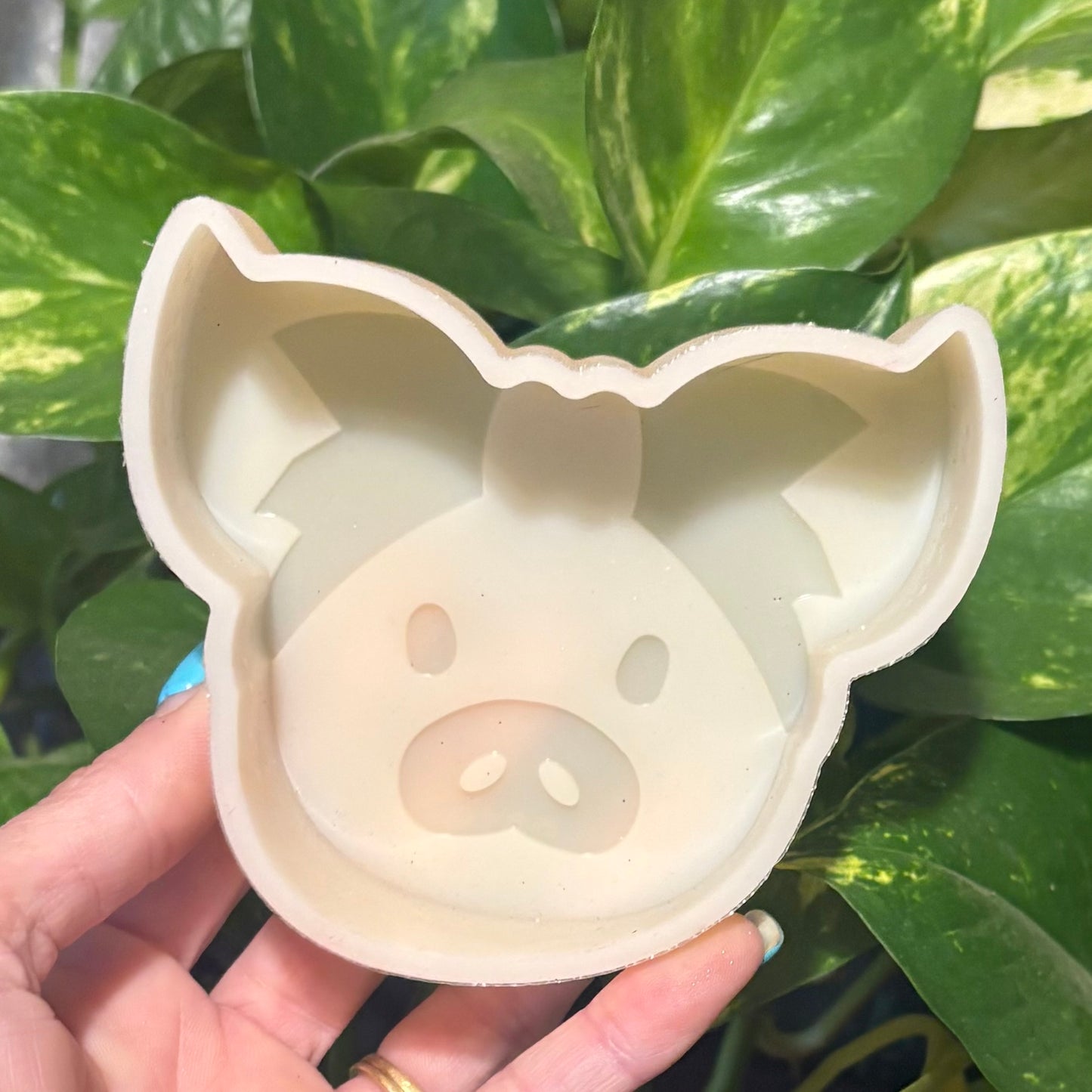 Temu Destash Mold