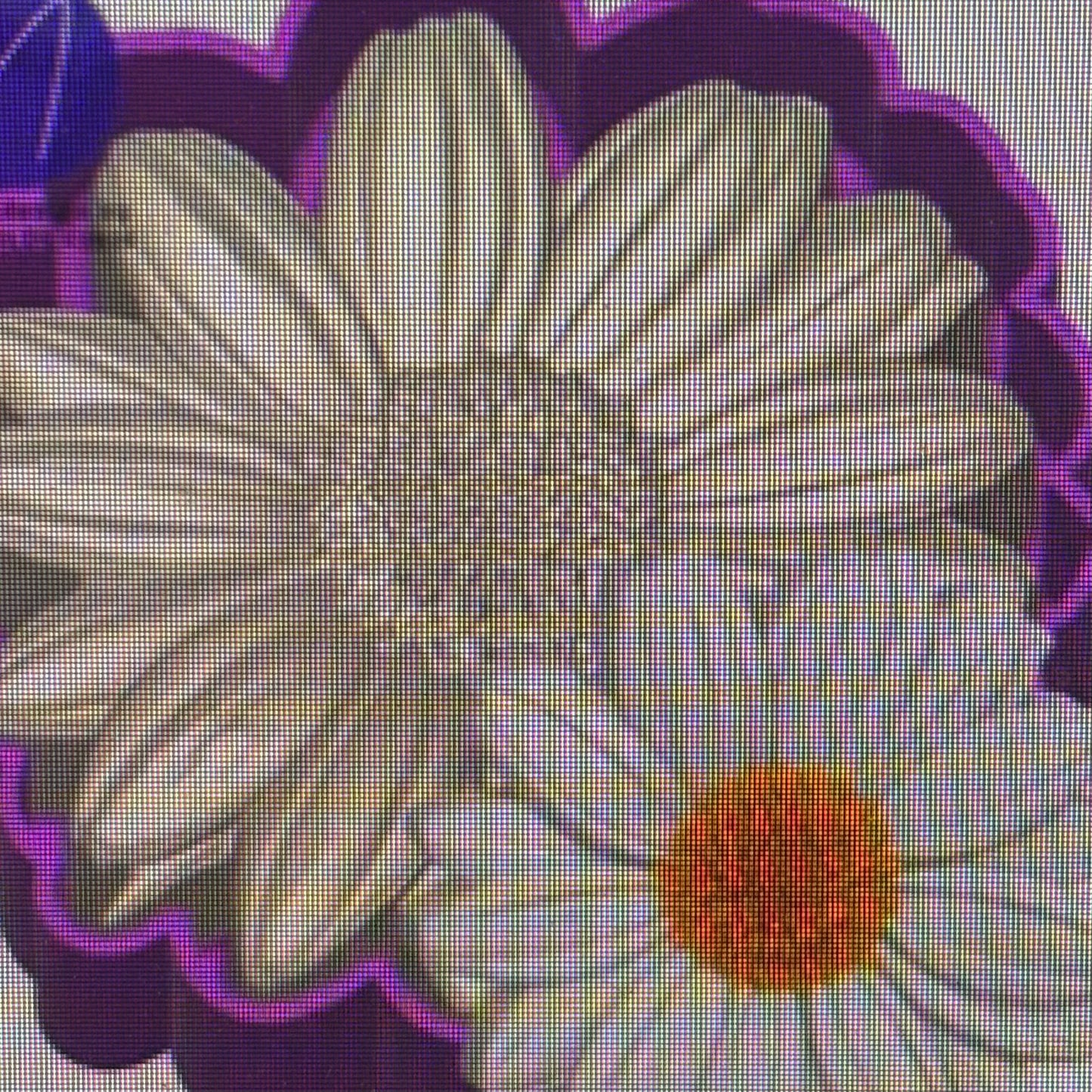 3D Daisy Mold