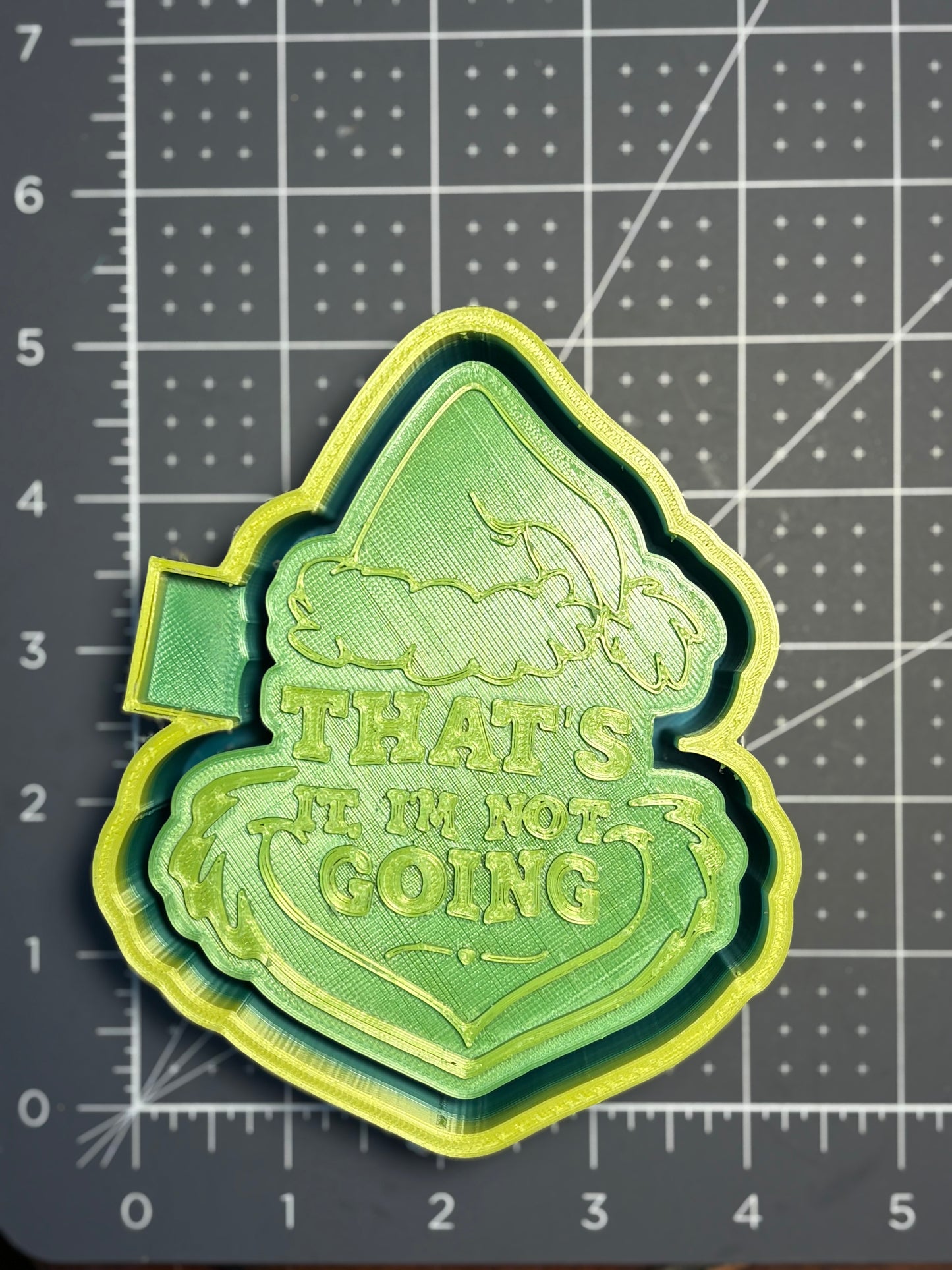 That’s it I’m NOT going Mold