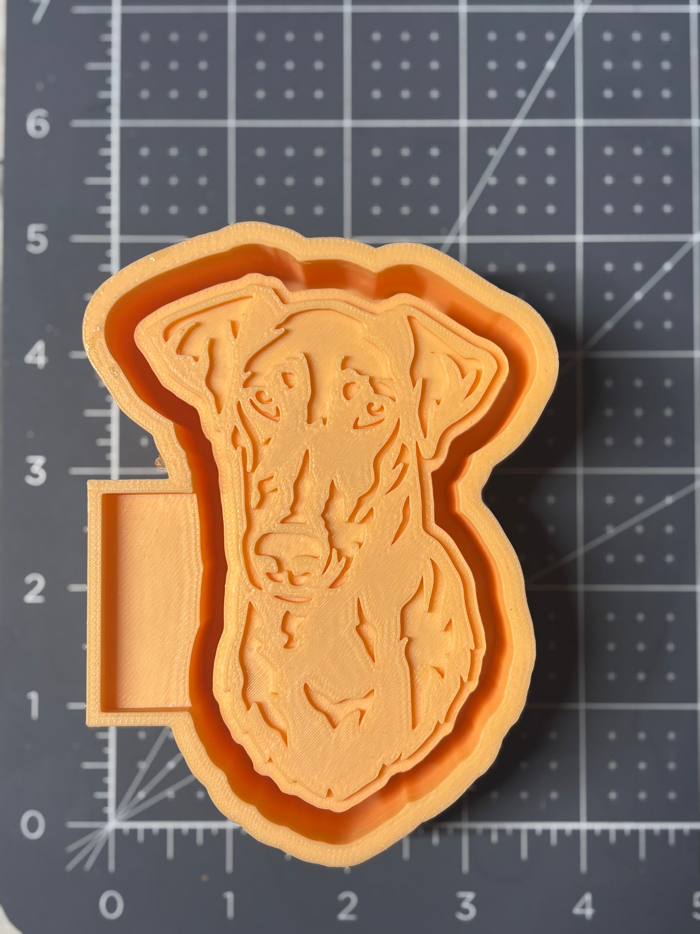 Doberman Mold