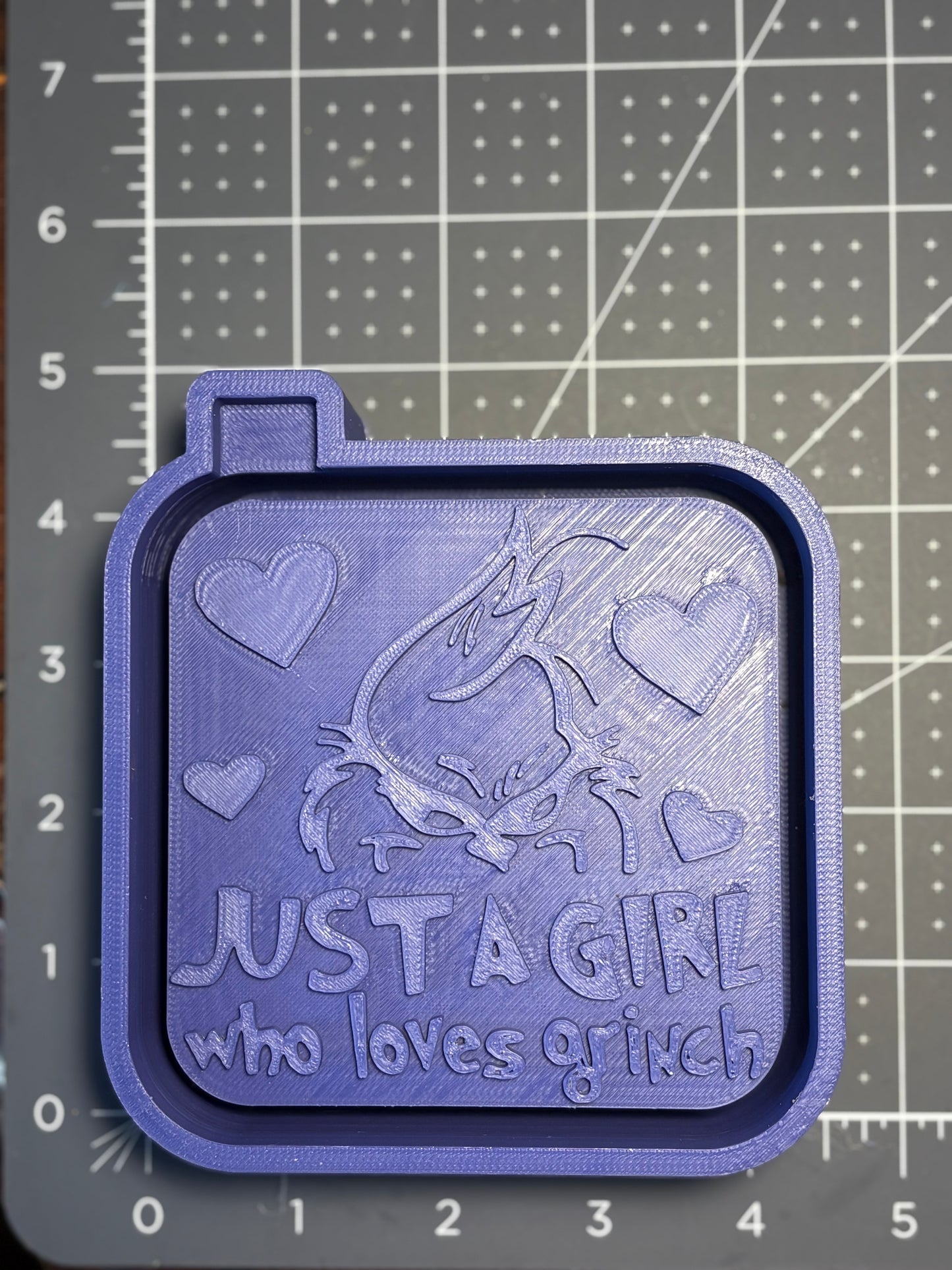 Just a girl who loves the Grinch Mold