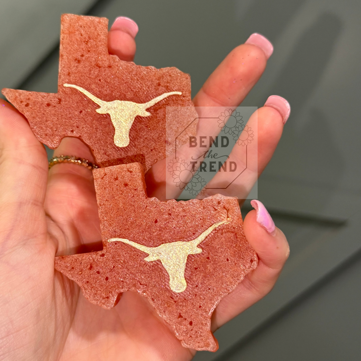 Texas Longhorn Set (1 lg & 2 vent) Mold
