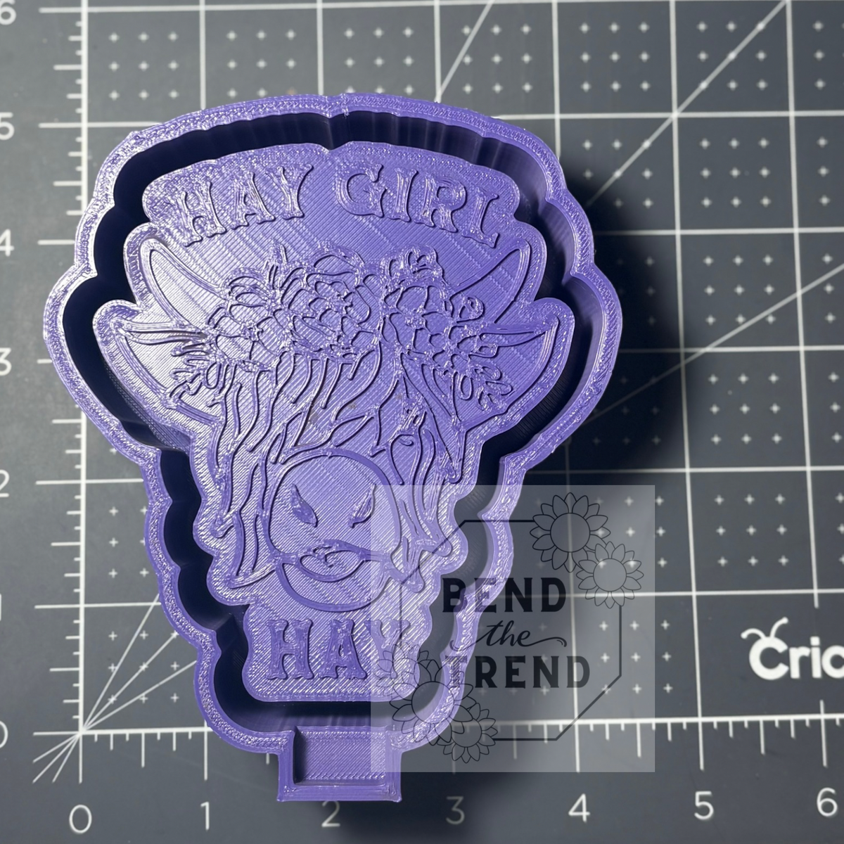 Highland Cow Hay Girl Hay Mold