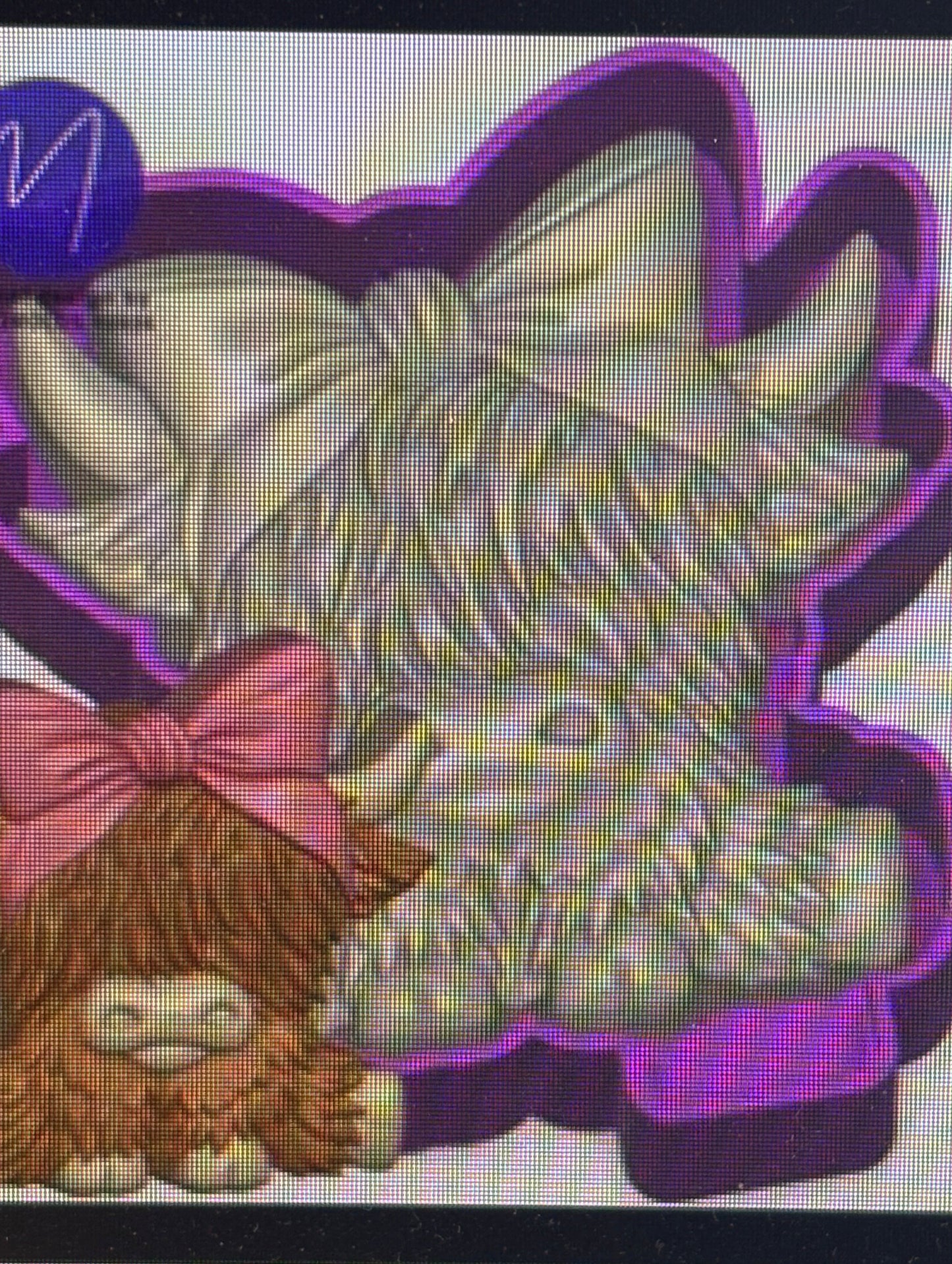 3D Sitting Highland Cow Head With Bow Mold