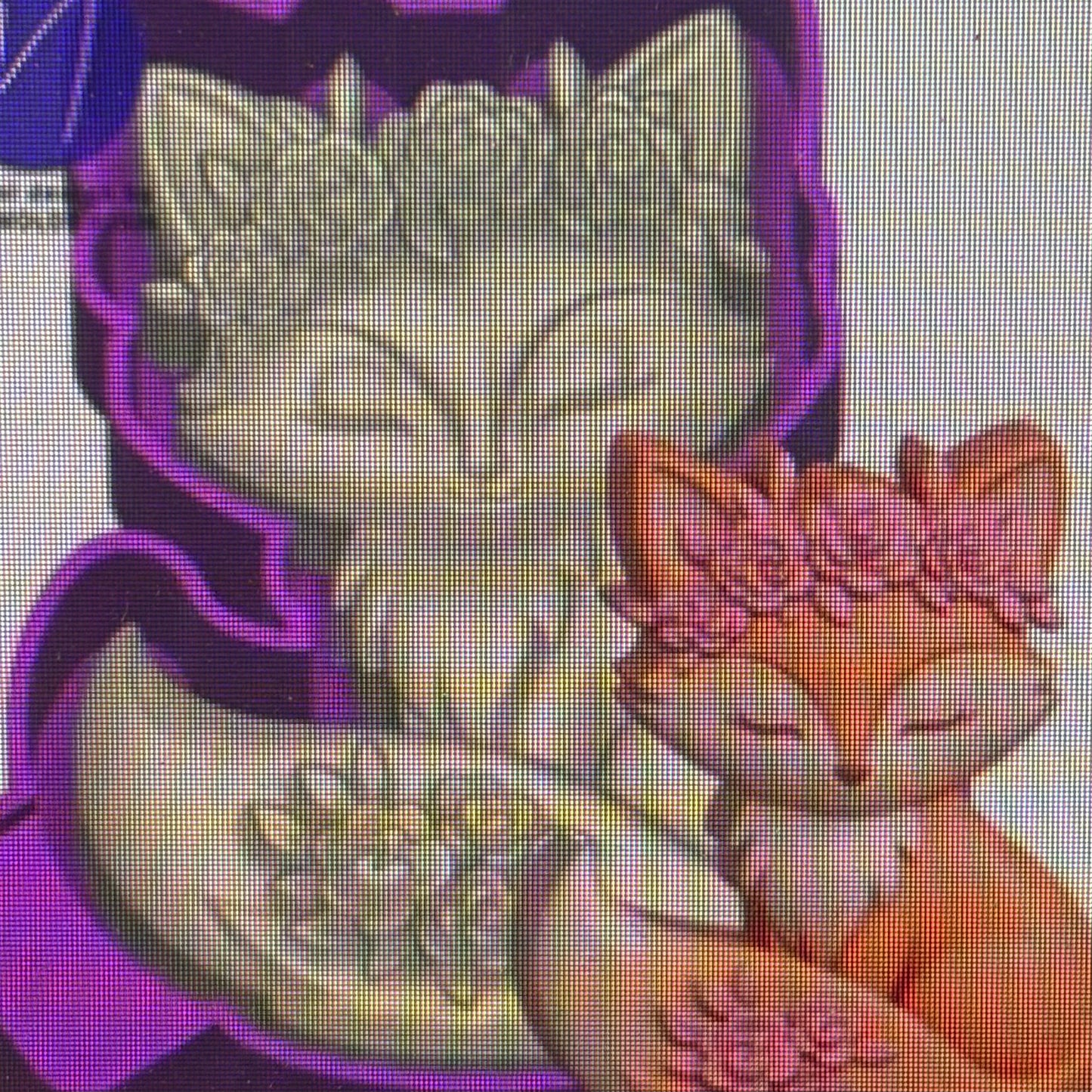 3D Fox Mold