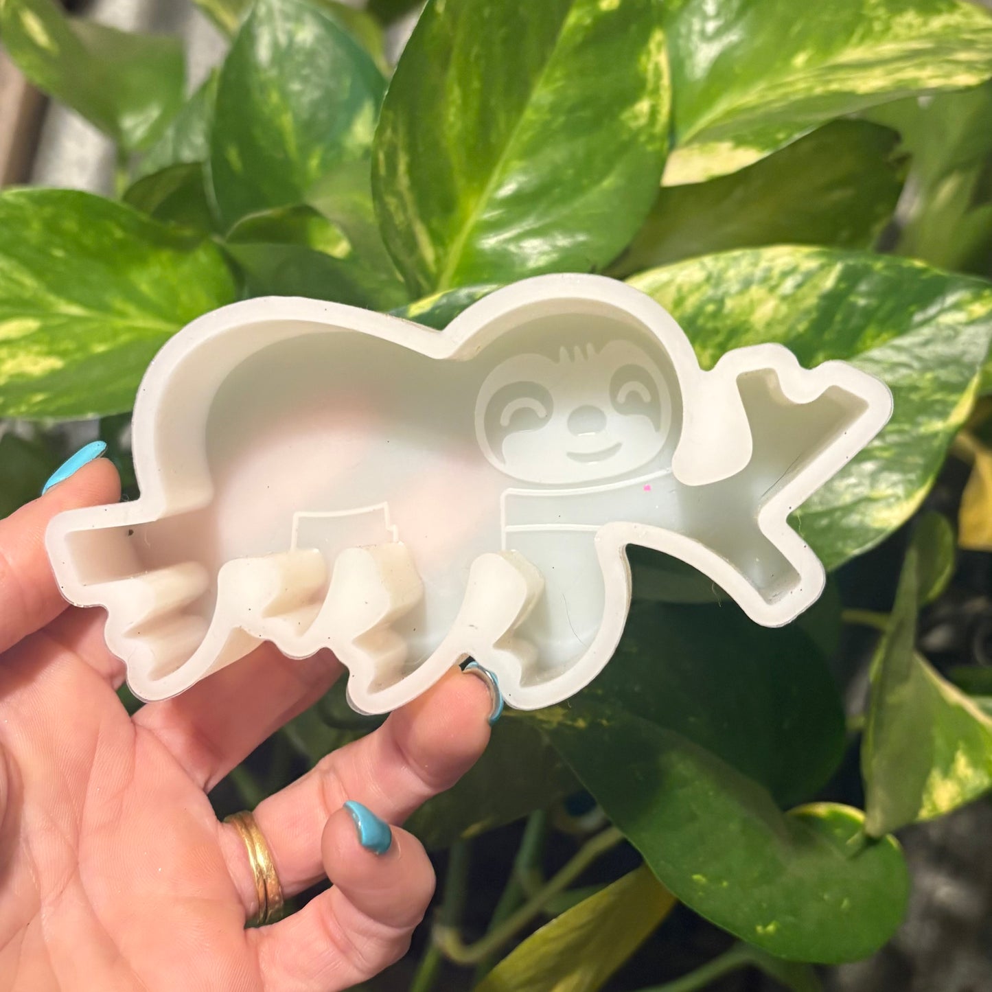 Temu Destash Mold