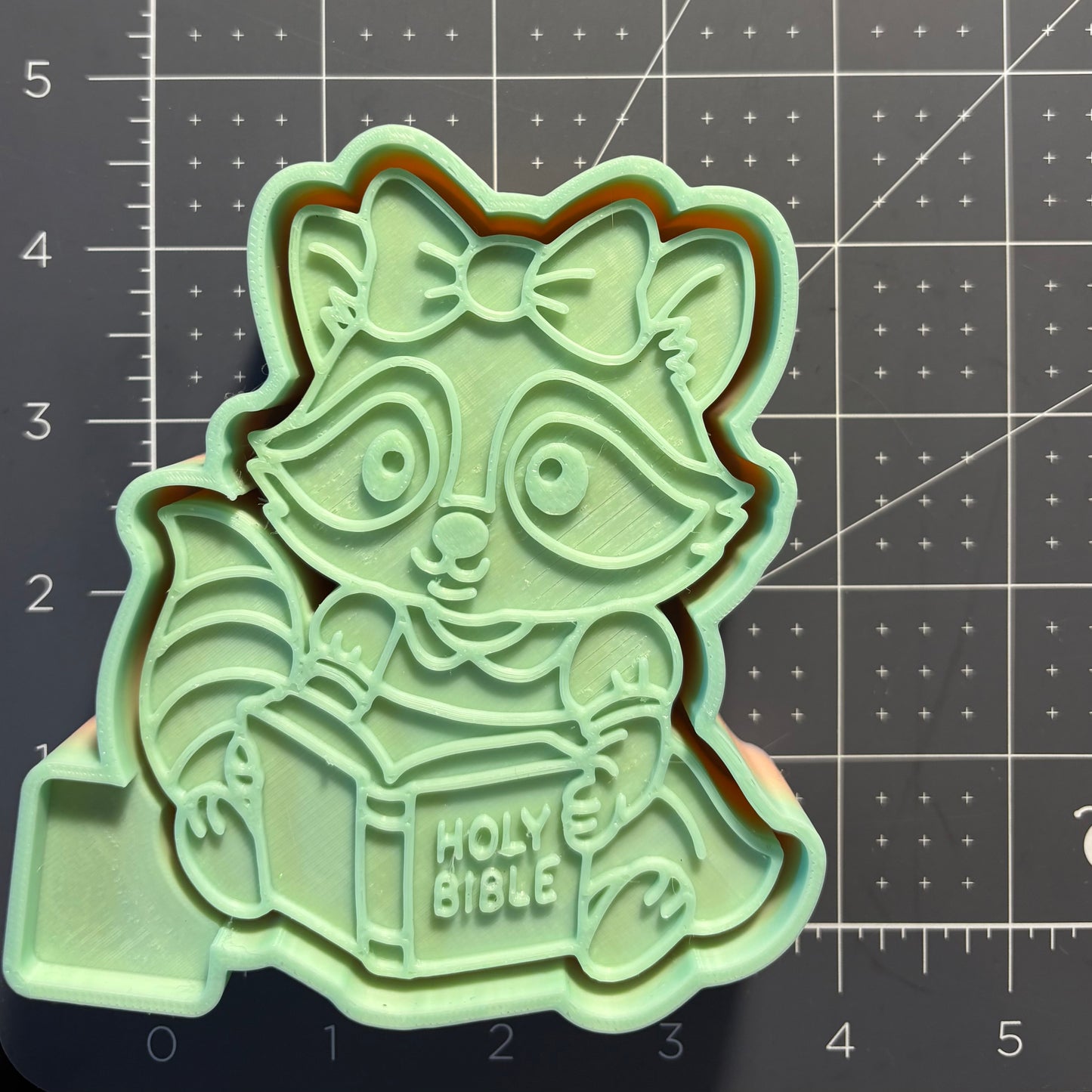 Raccoon With Bible Mold