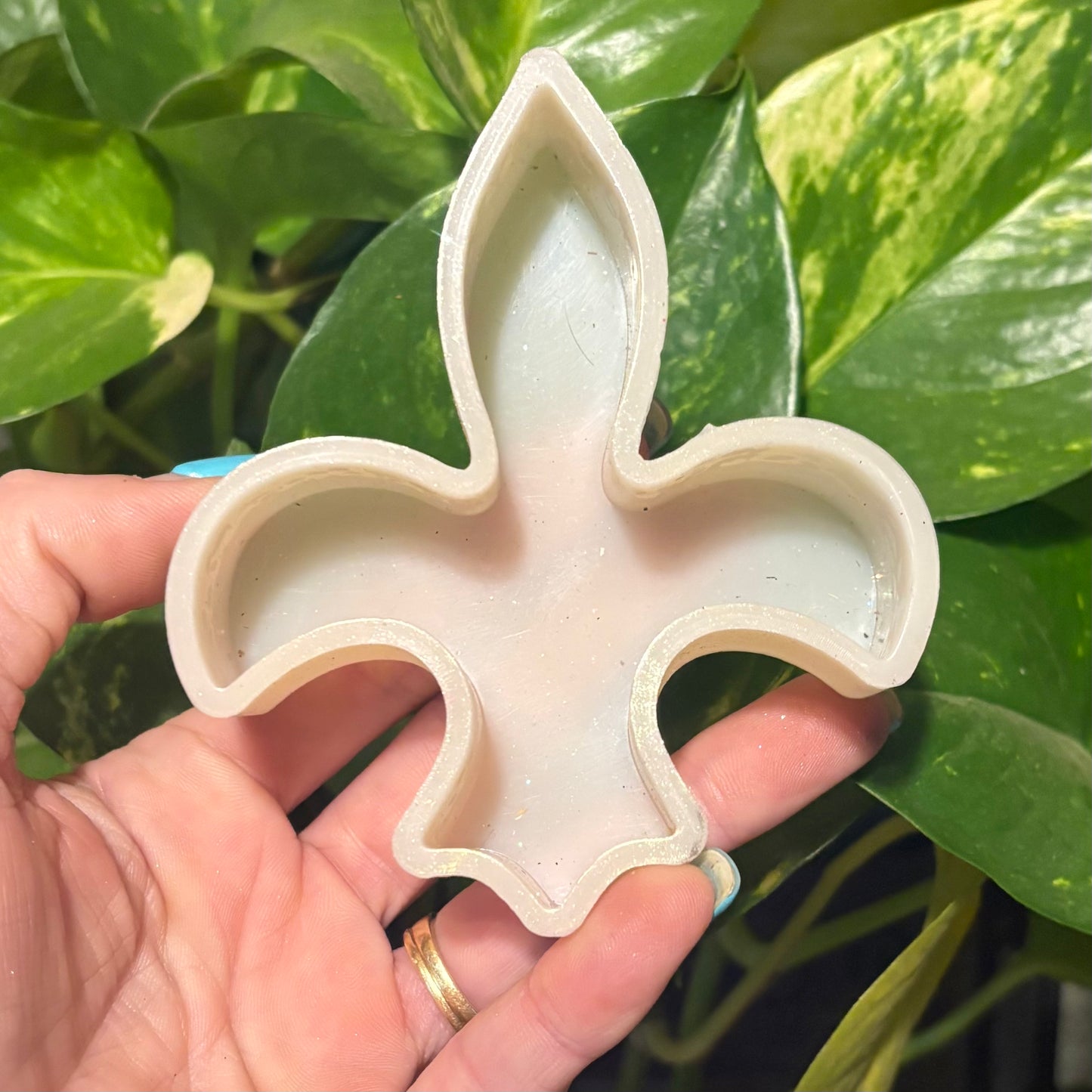 Temu Destash Mold
