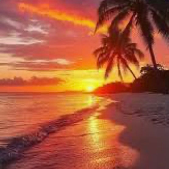 Summer Sunset