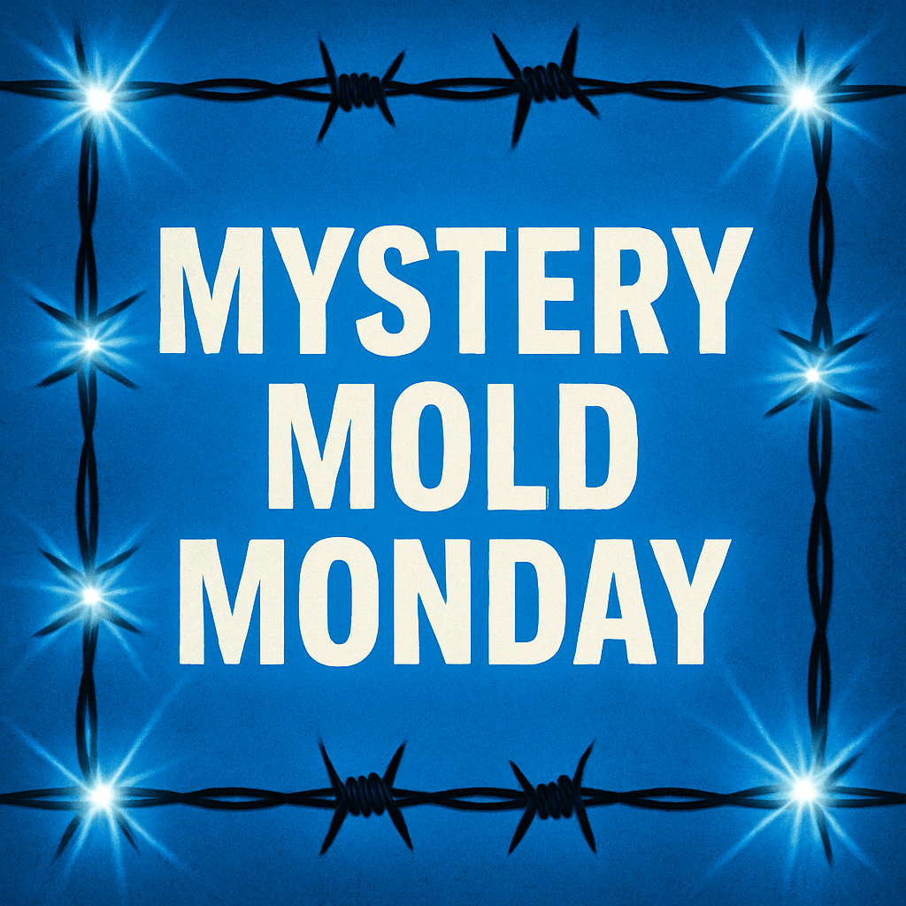 MYSTERY MONDAY Mold