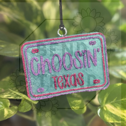 Choosin’ Texas Mold