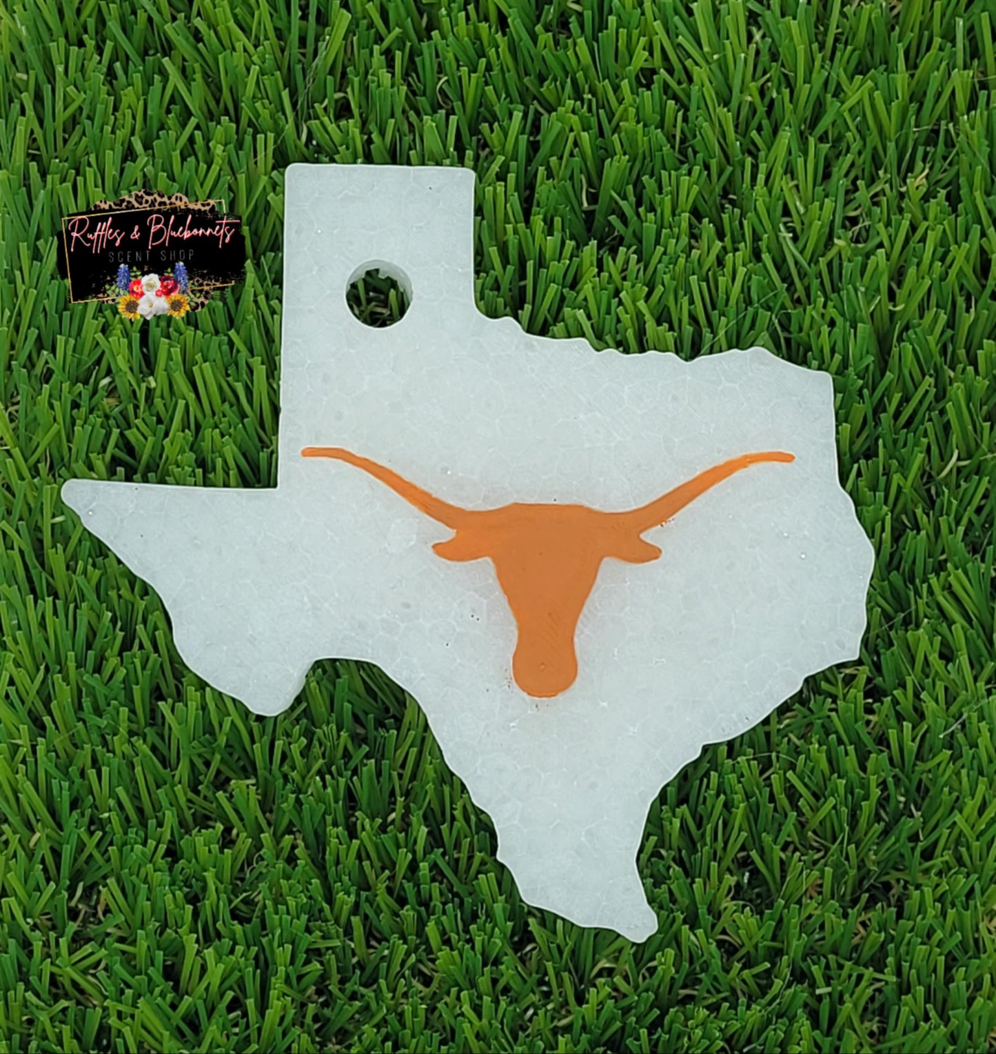 Texas with Longhorn Mold