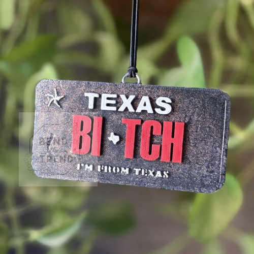 Texas B!t<h License Plate Mold