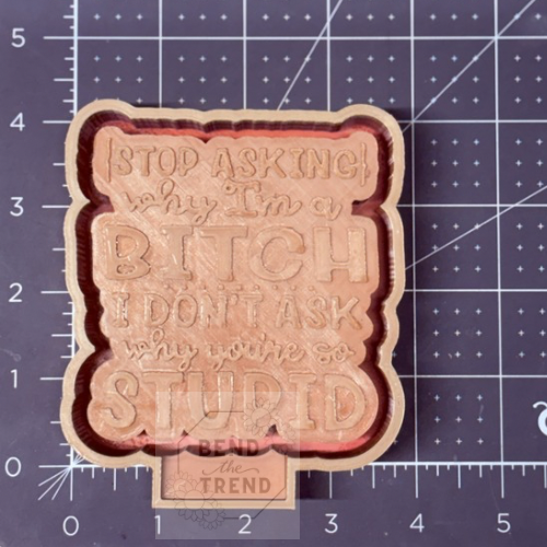 Stop Asking Me Why I’m A Bitch- I don’t Ask You Why You’re Stupid Mold
