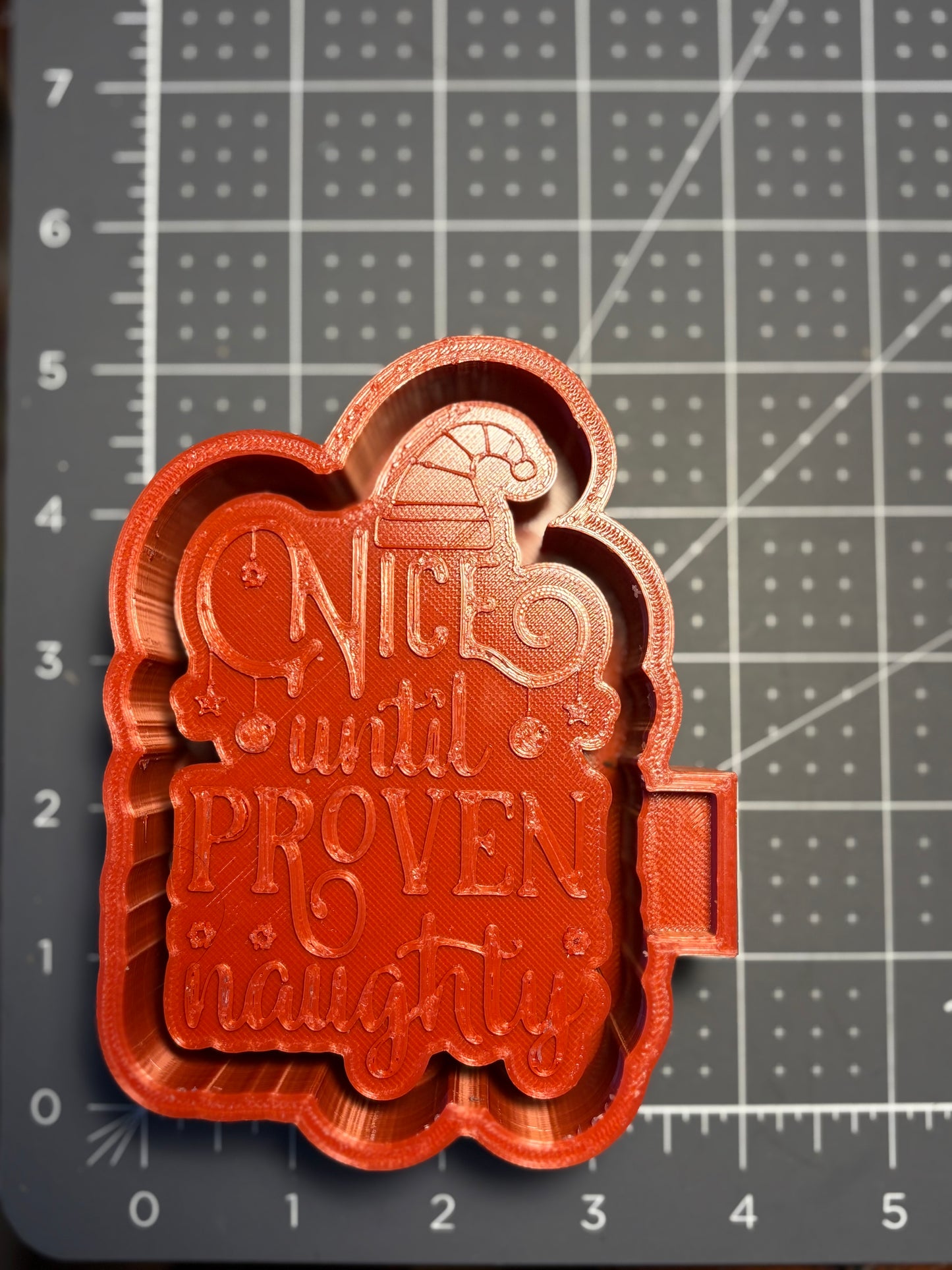 Nice Until Proven Naughty Mold