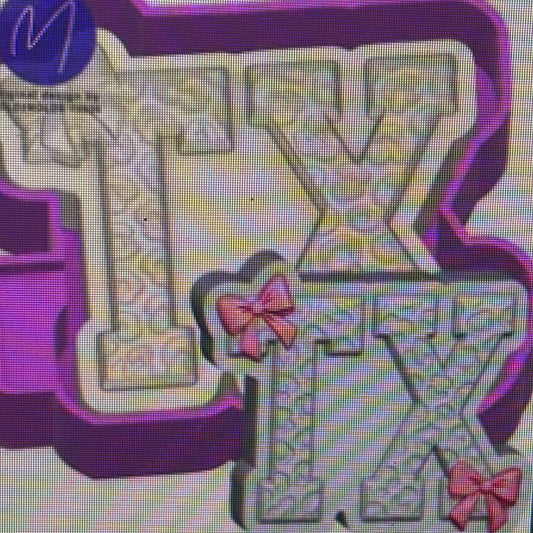 3D Texas TX Mold