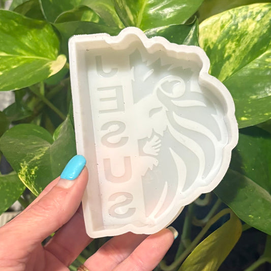 Temu Destash Mold