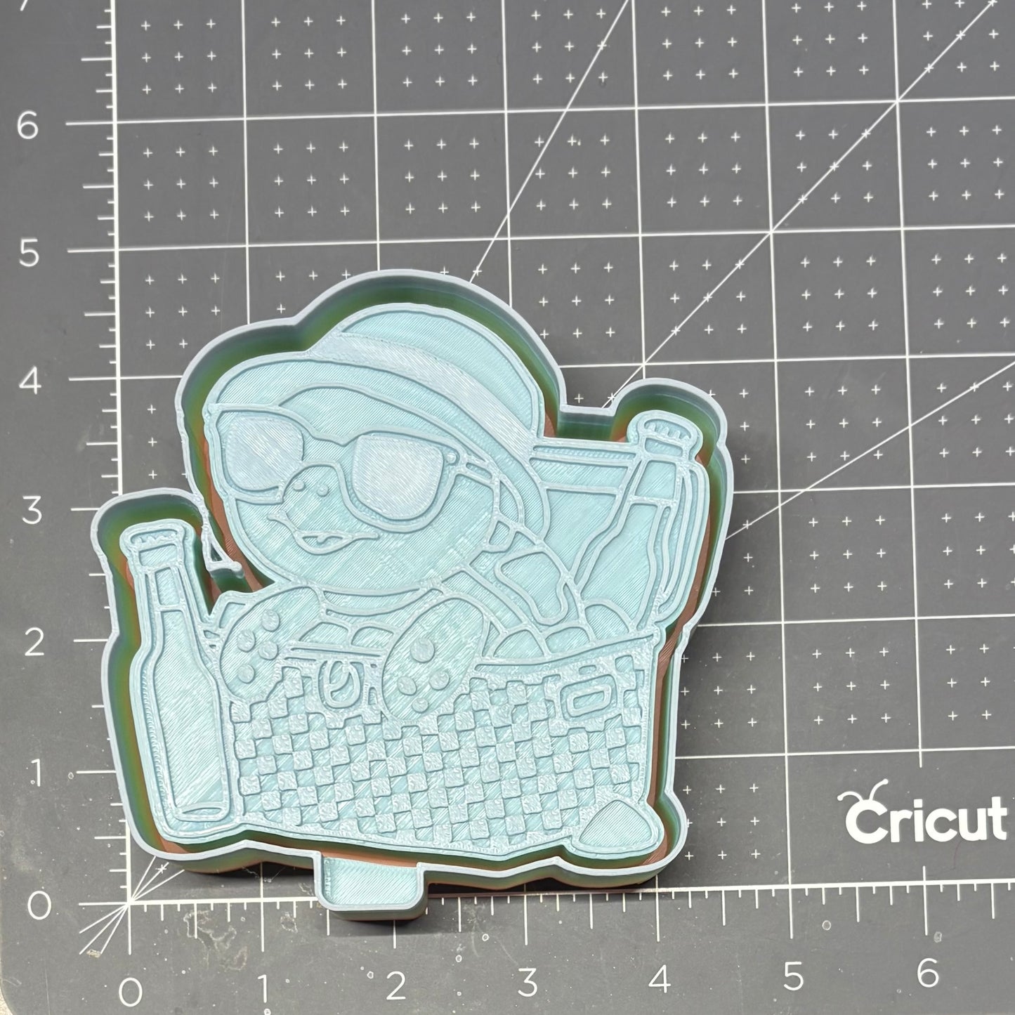 Turtle In a Cooler Mold