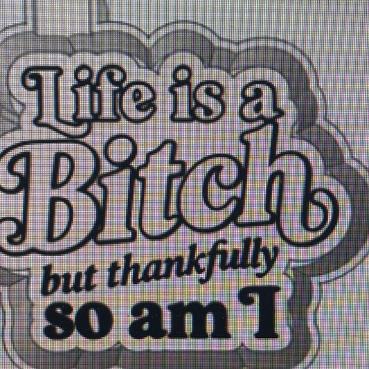 Life is a B!+<h but so and I Mold