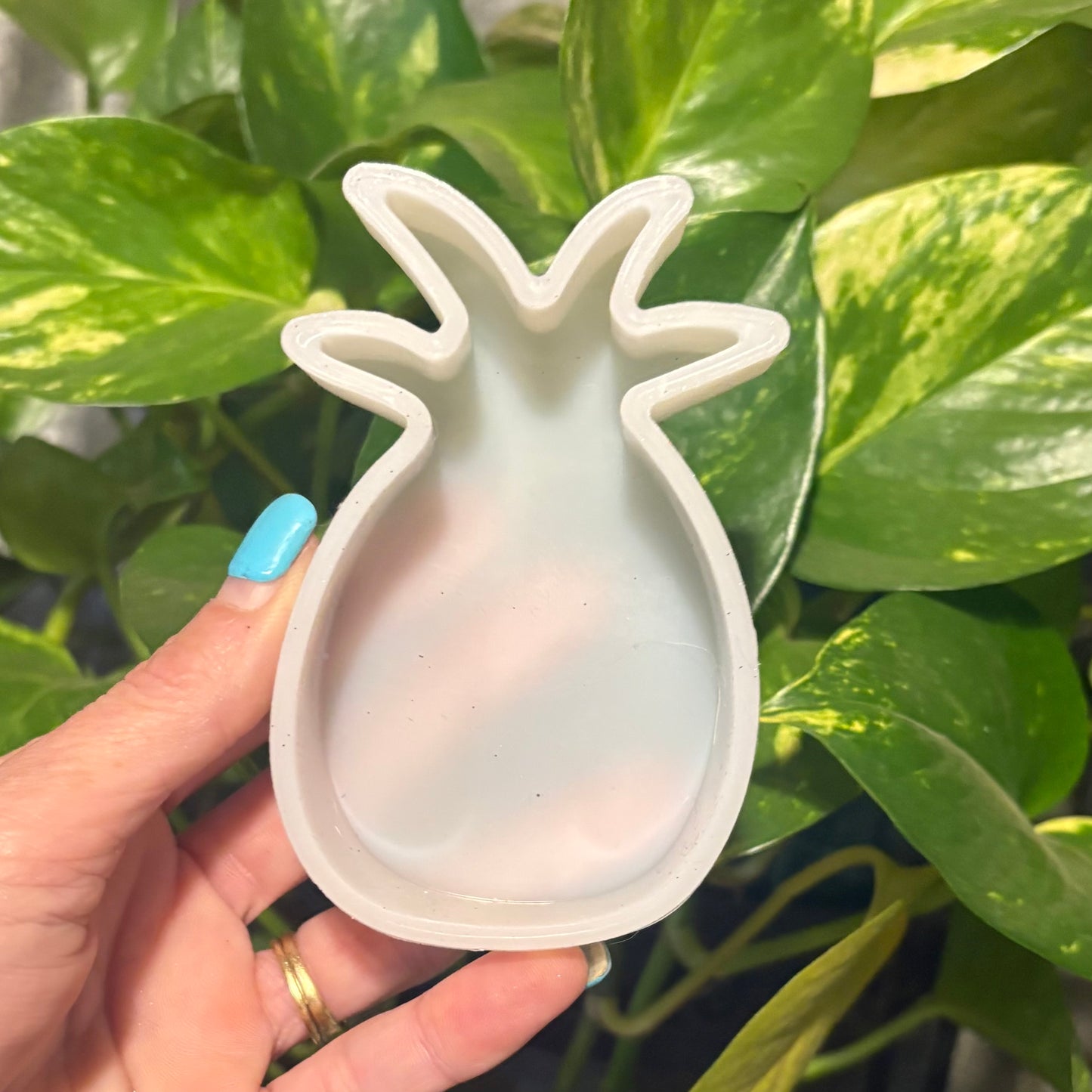 Temu Destash Mold