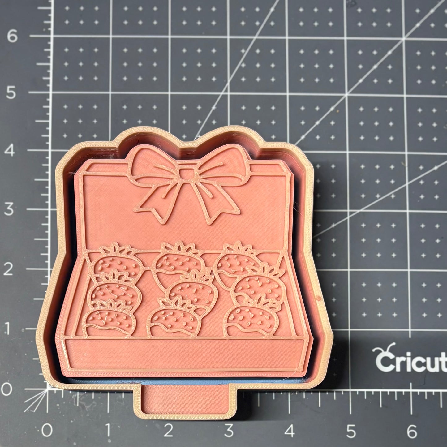 Chocolate Covered Strawberries Mold