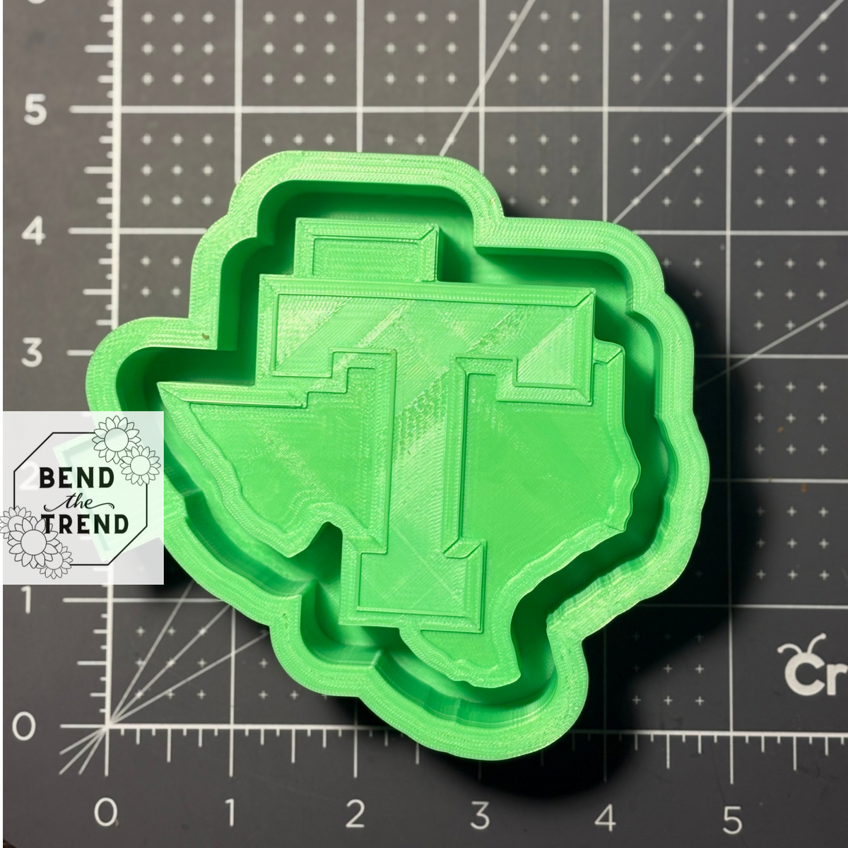 Texas Mold