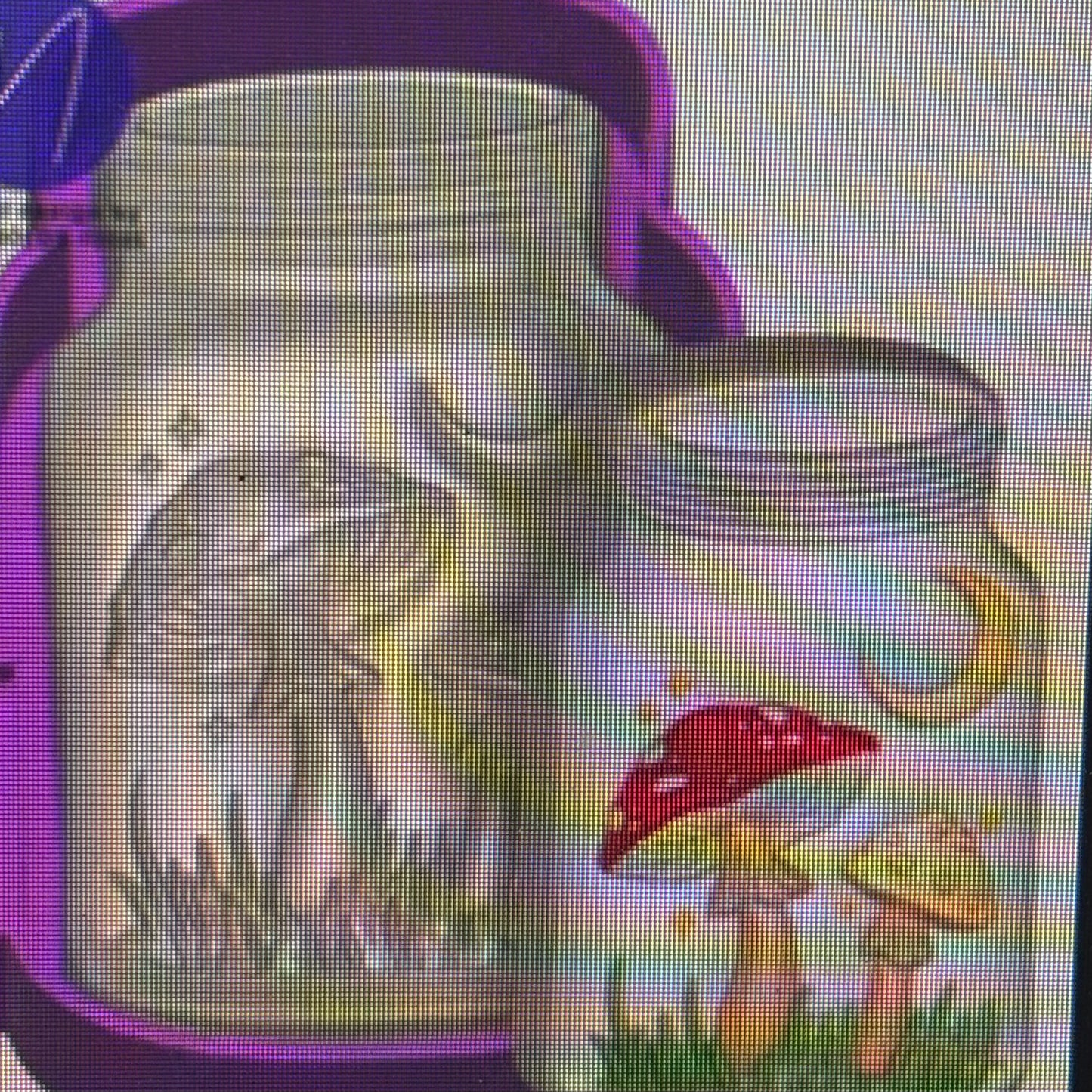 3D Mushroom Mason Jar Mold