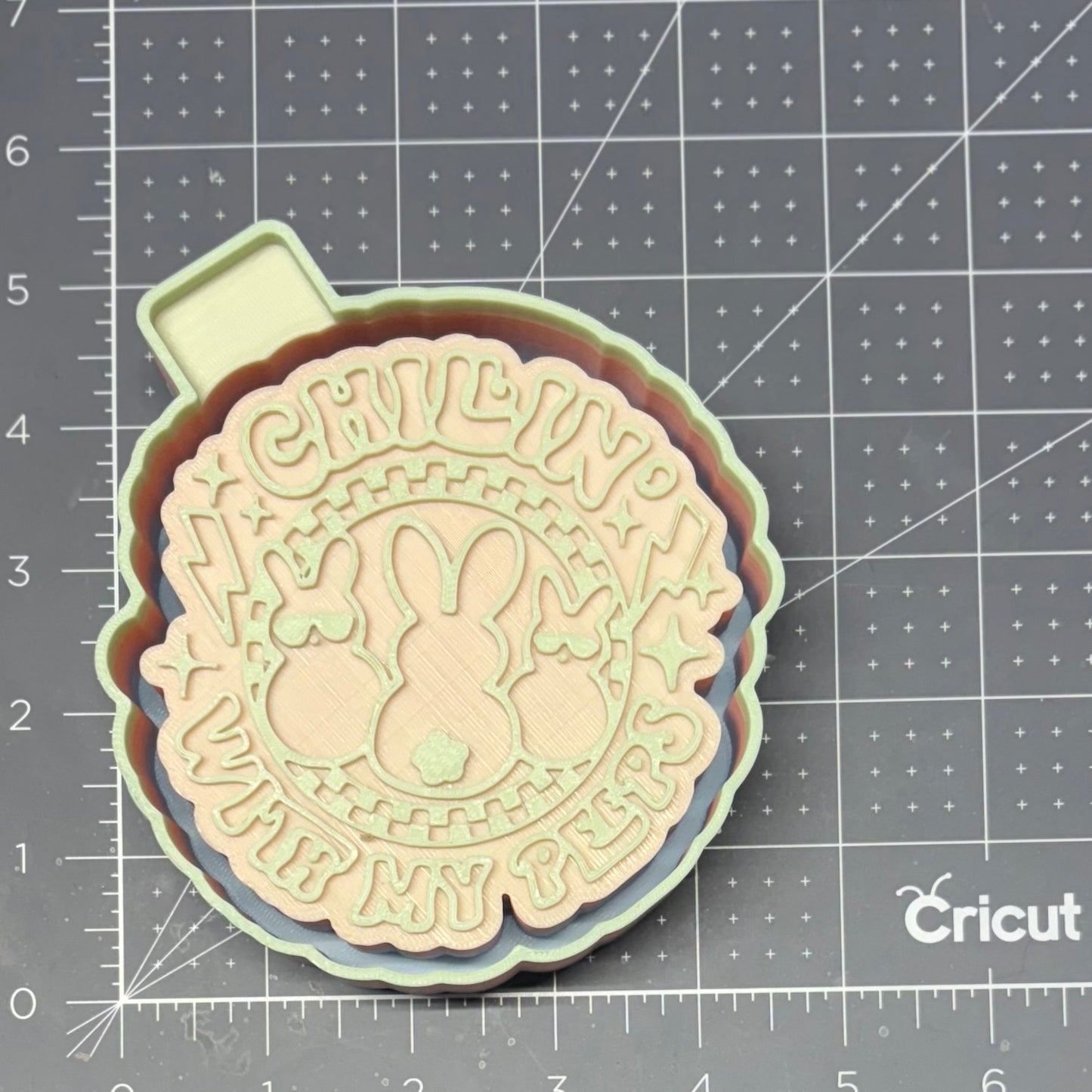 Chillin with my Peeps Mold