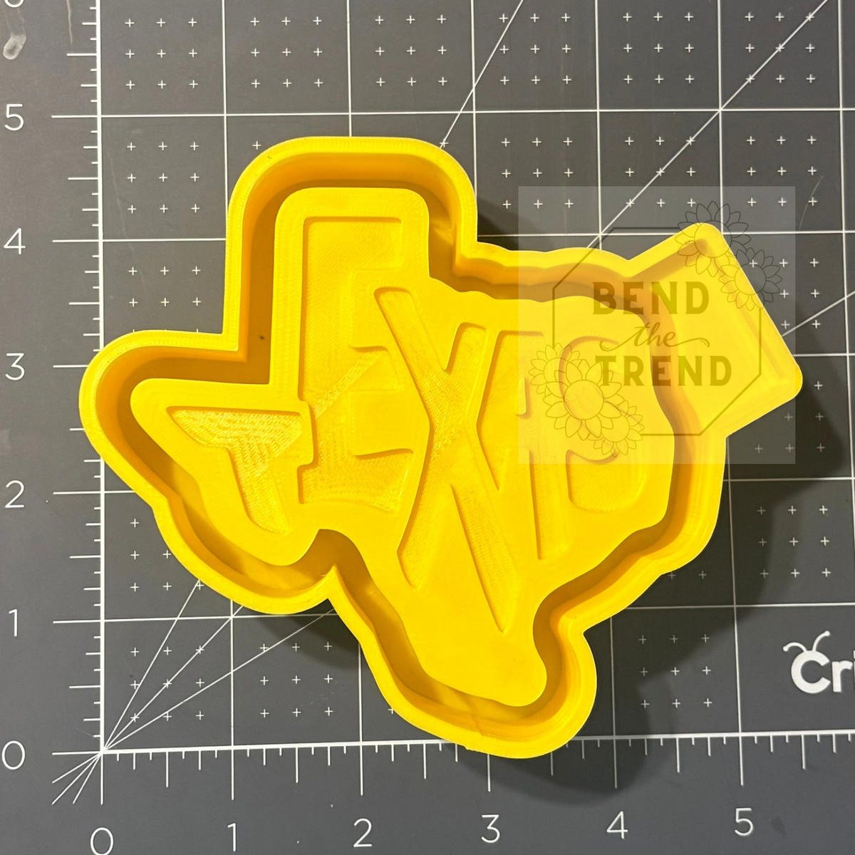 Texas Mold