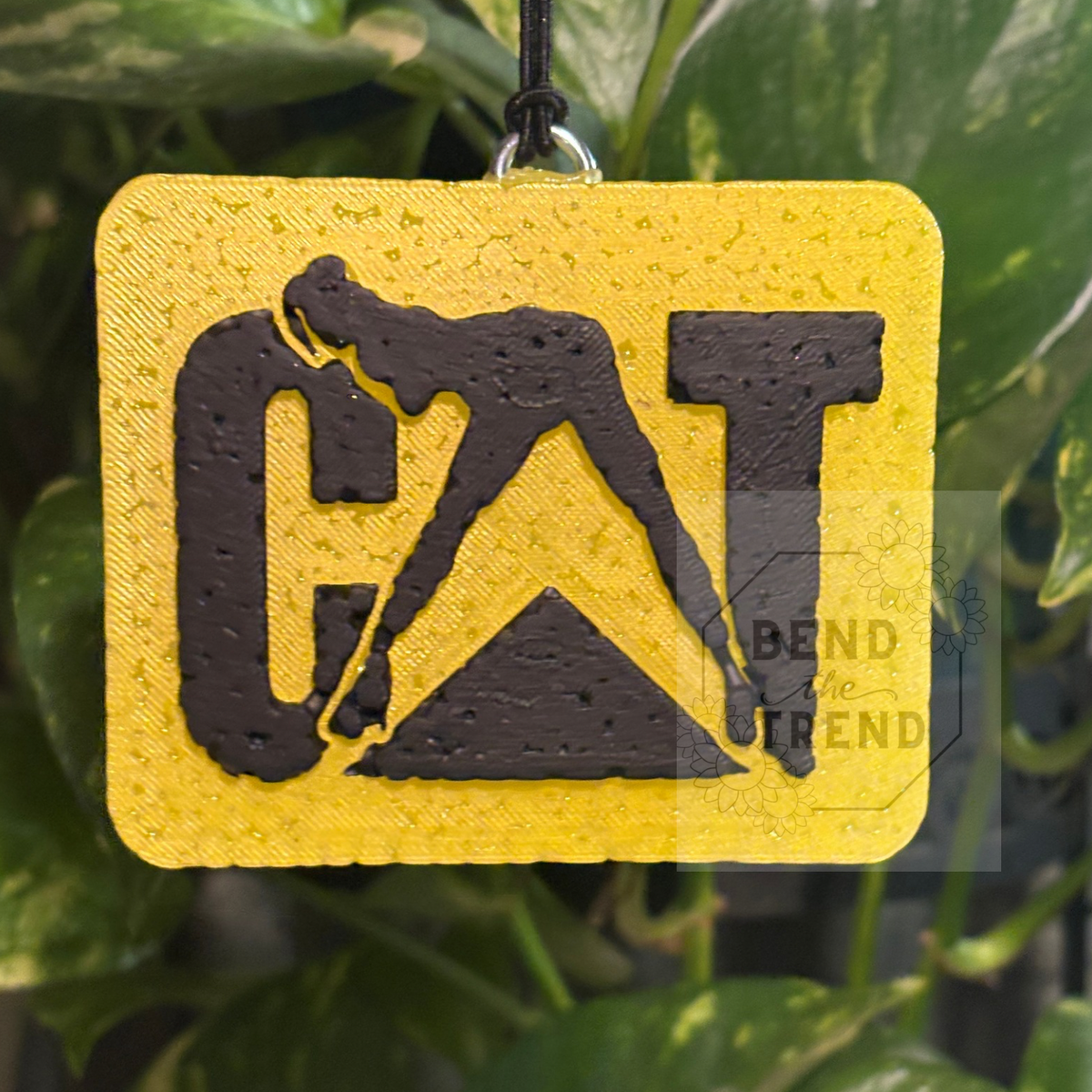 Cat Mold