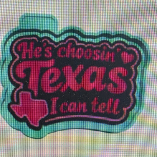 He’s Choosin’ Texas I Can Tell Mold