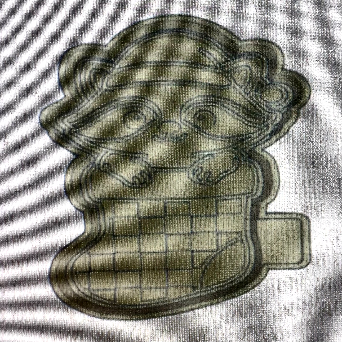 Raccoon in Checkered Stocking Mold