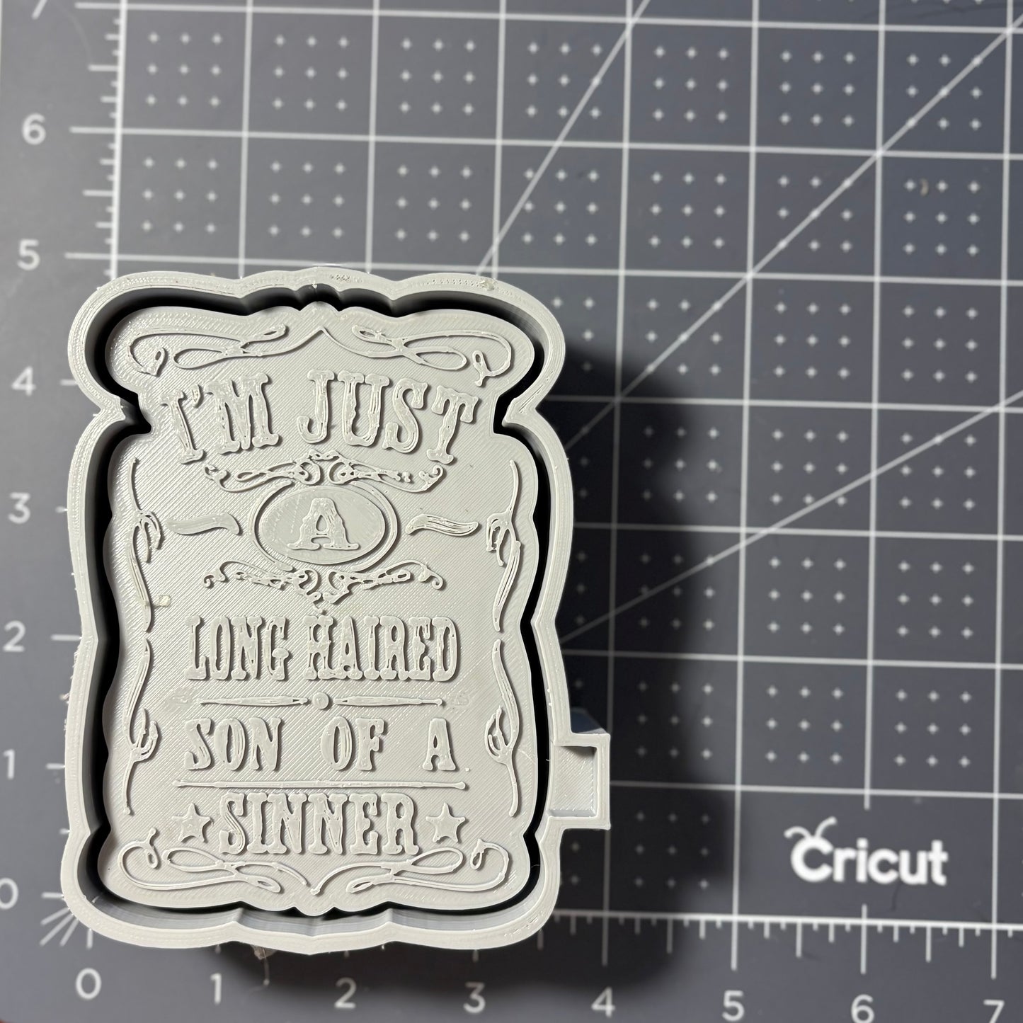 Just a Long Haired Son of a Sinner Mold