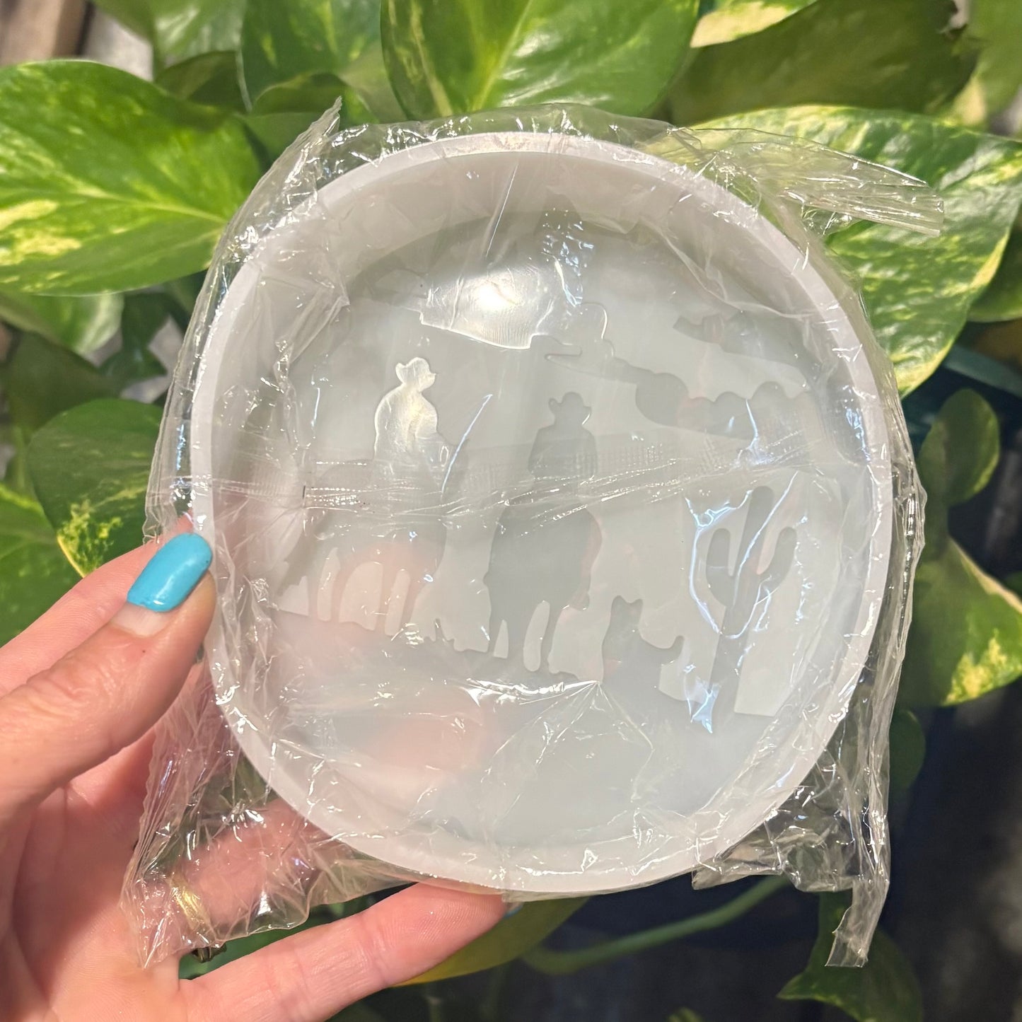 Temu Destash Mold