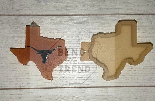 Texas with Longhorn Mold