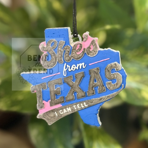 3D She’s From Texas Mold