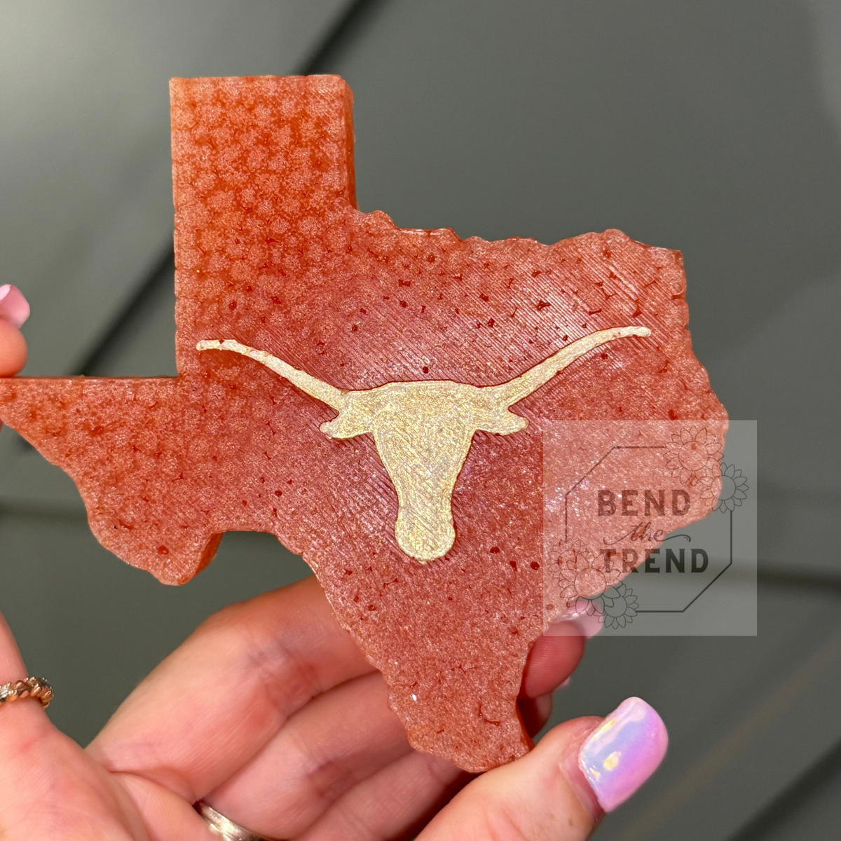 Texas Longhorn Set (1 lg & 2 vent) Mold