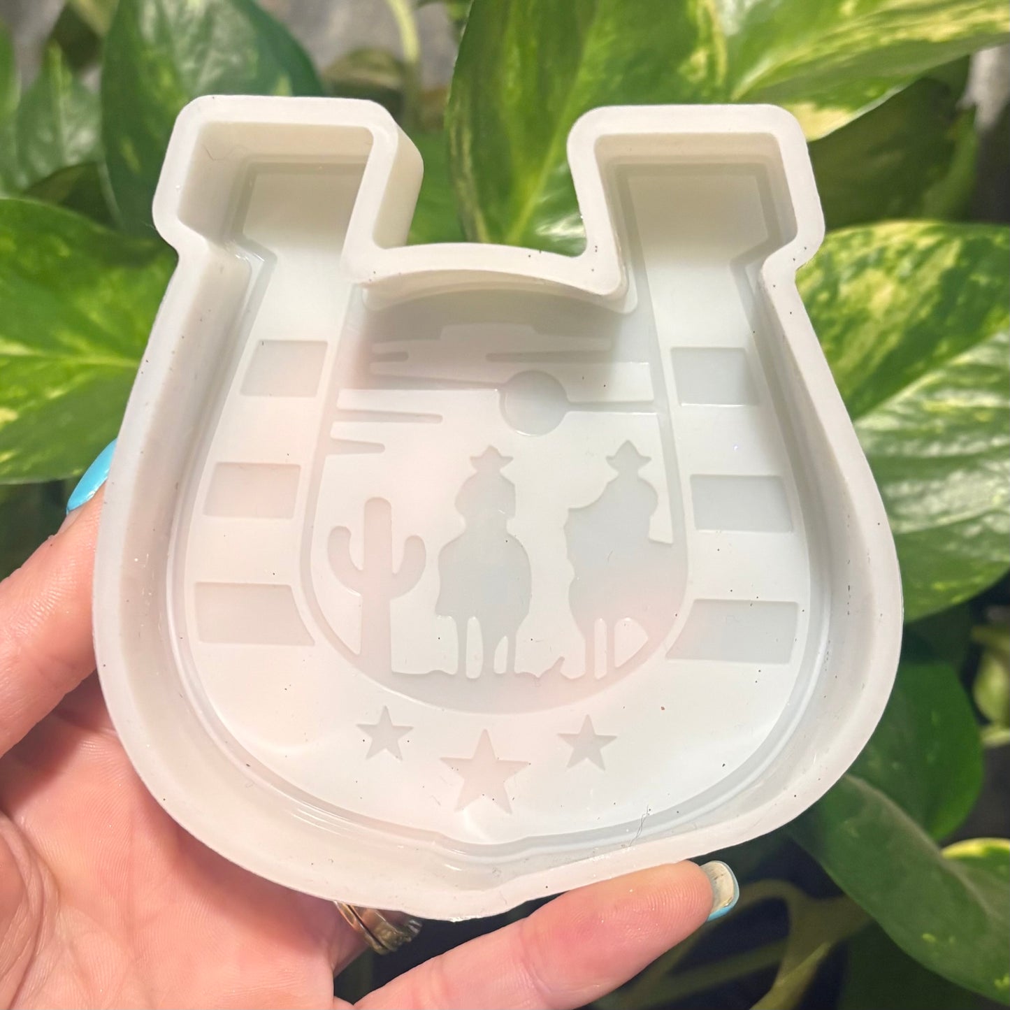 Temu Destash Mold