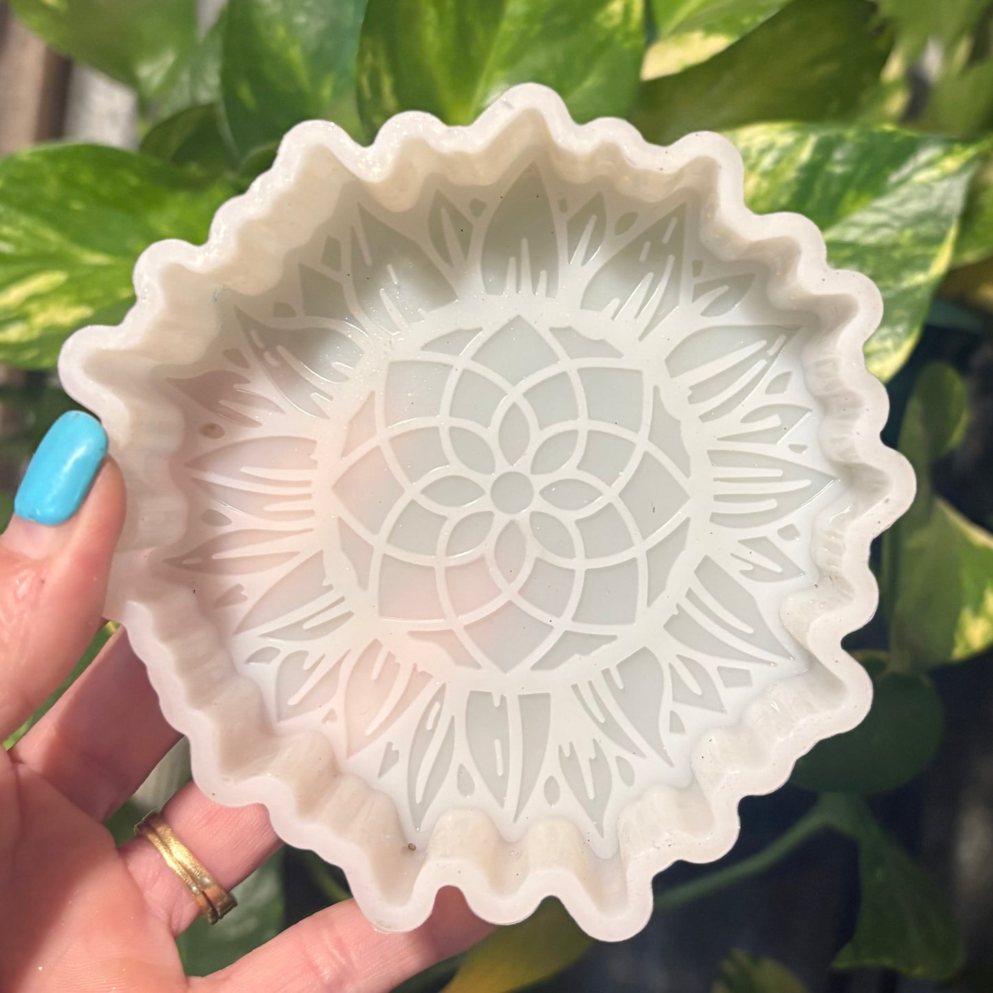 Temu Destash Mold
