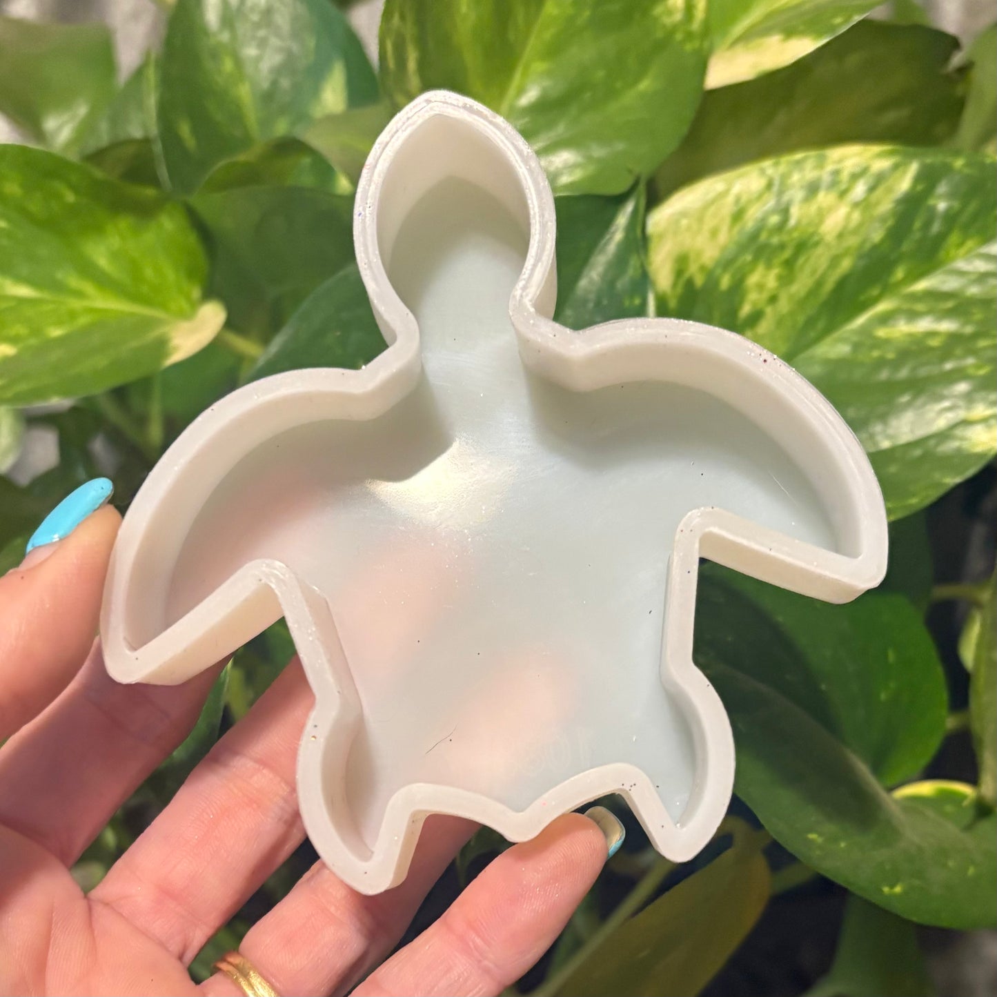 Temu Destash Mold