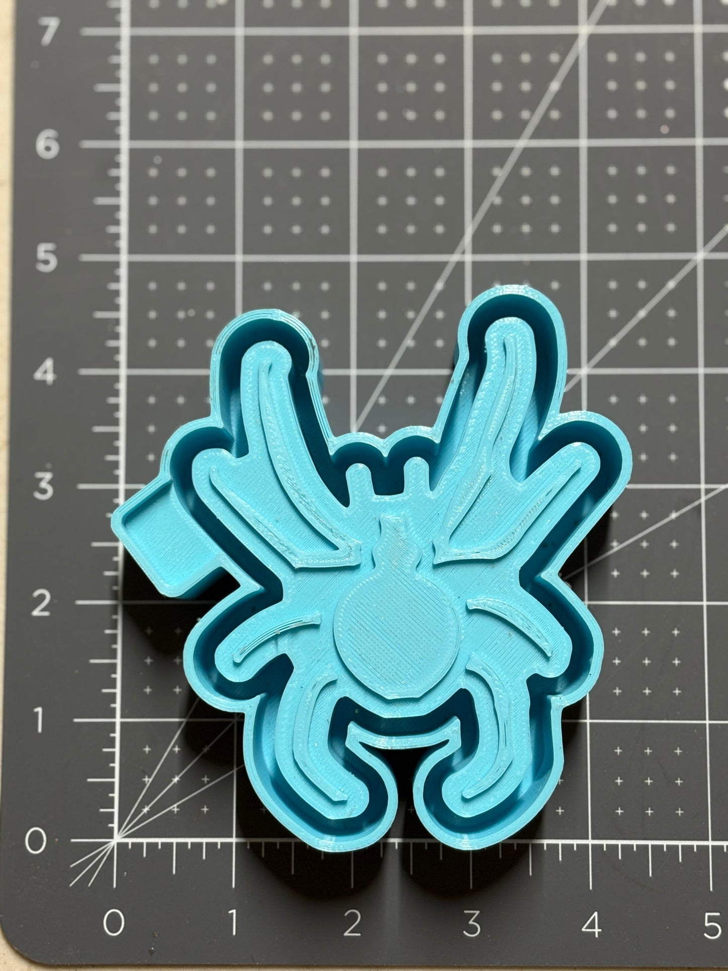Spider Mold