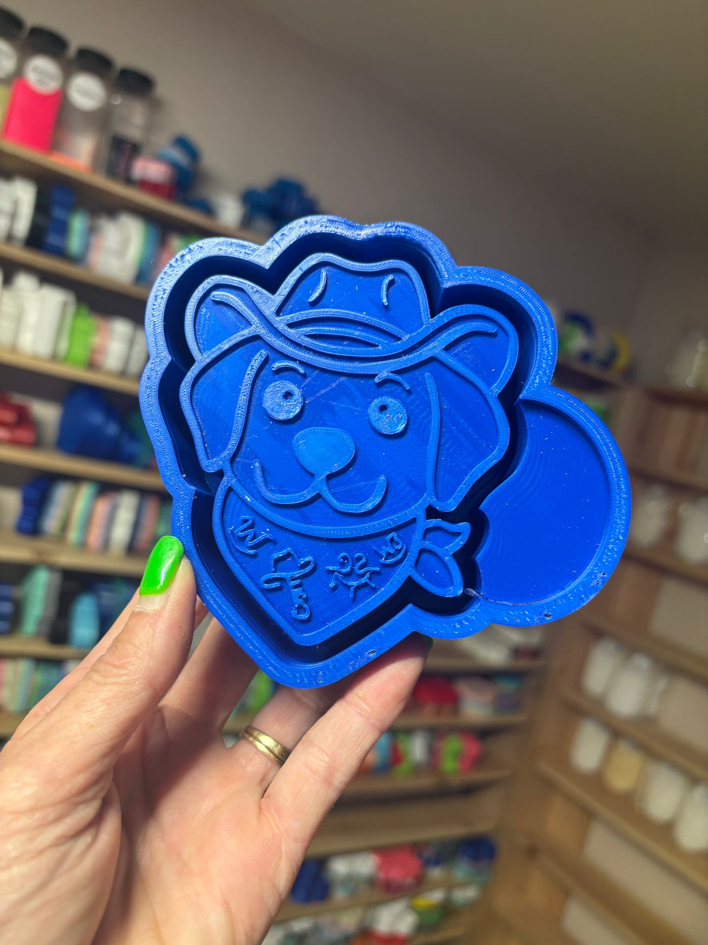 Western Branded Lab Mold