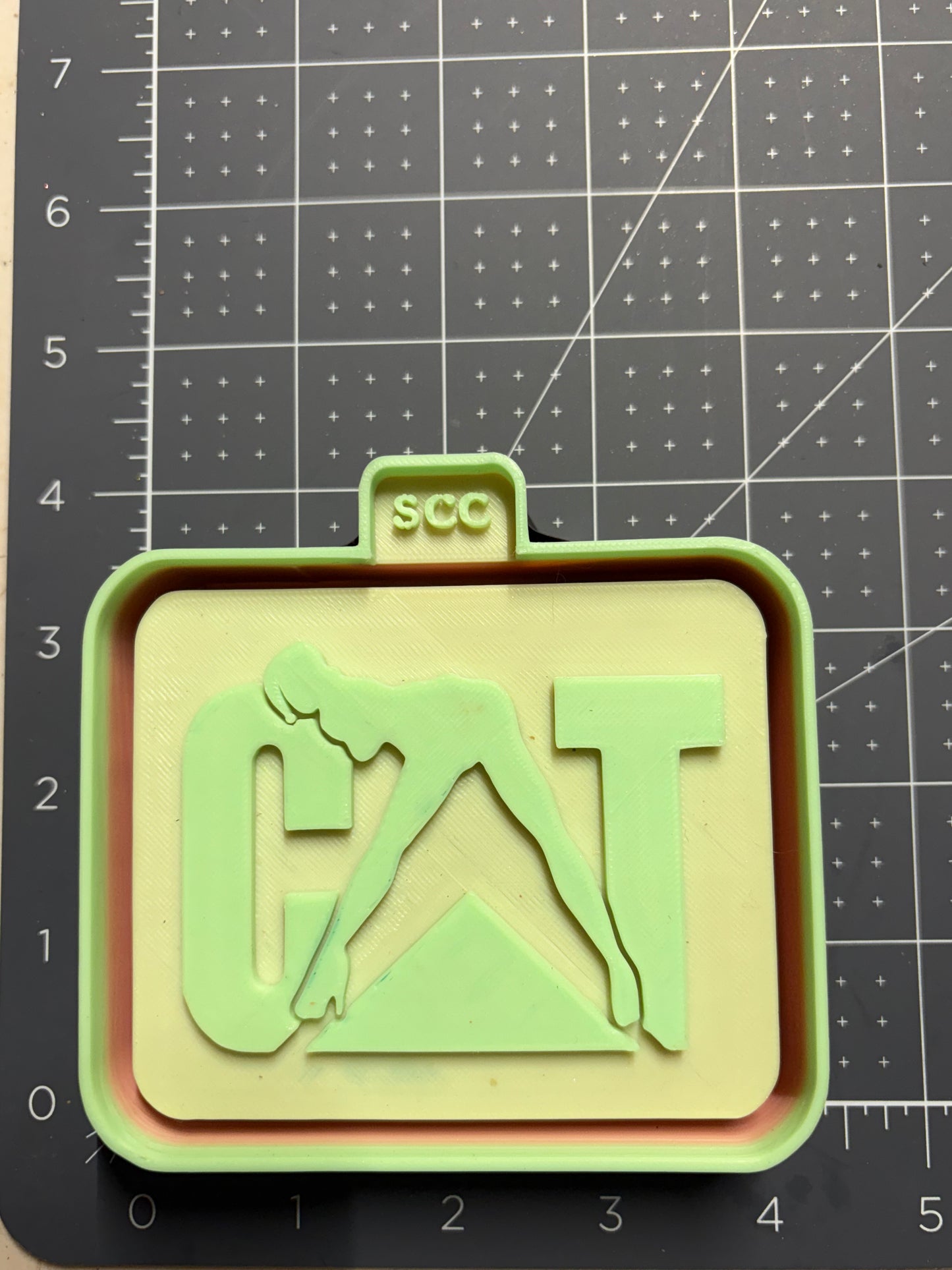CaT Mold